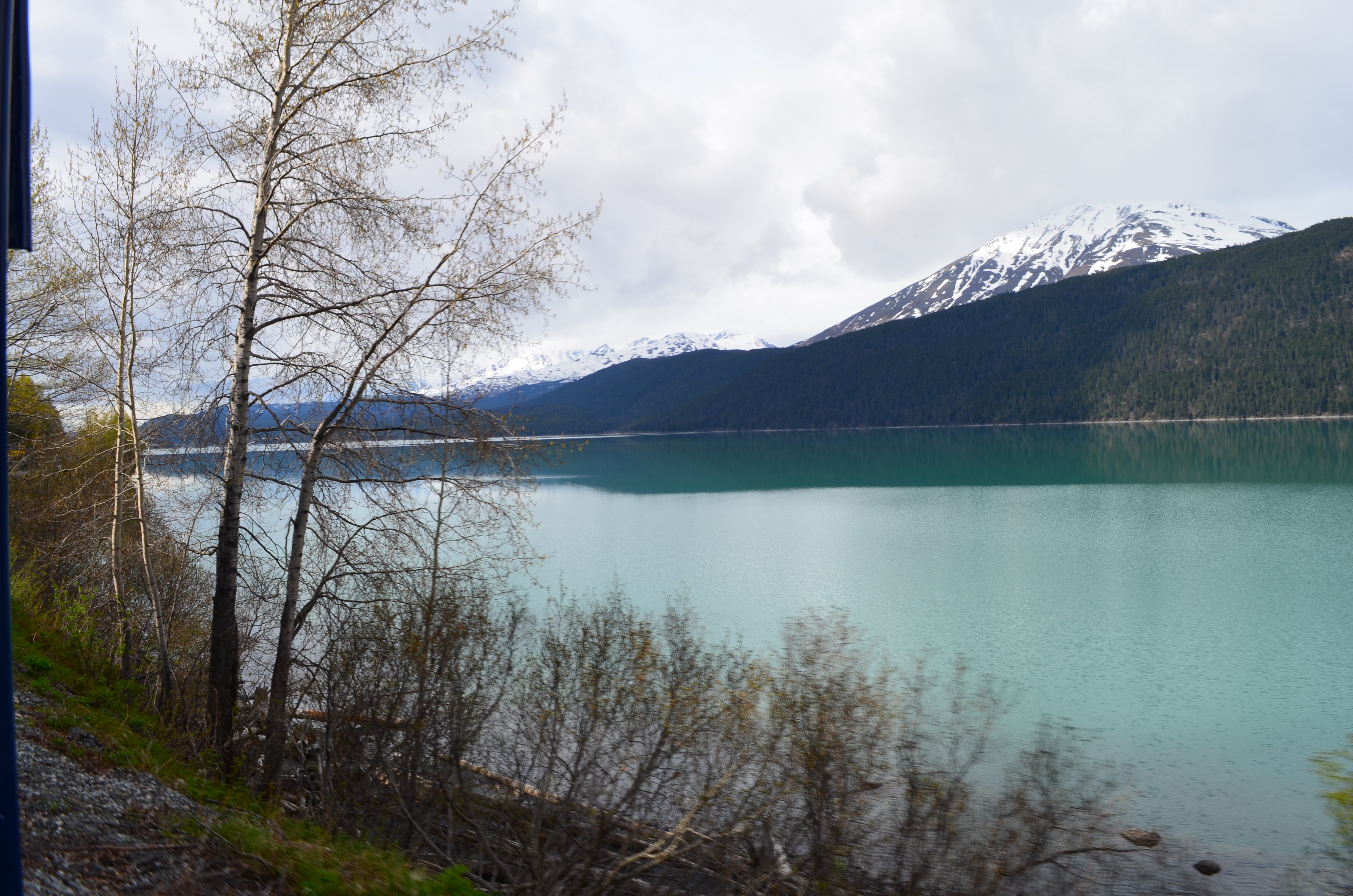 ./2017/08 - Alaska Cruise/05 - Train to Seward/DSC_0581.JPG